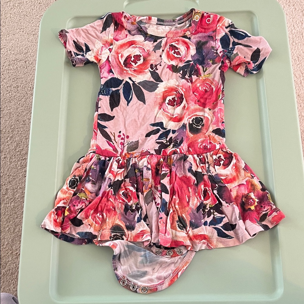 Posh Peanut Pink and Red Floral Dress 18-24 months